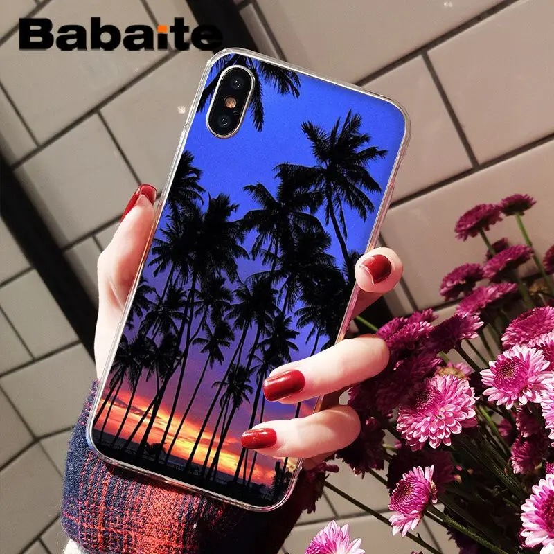 Summer beach palm