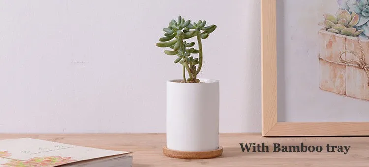Cylinder shape Flower Pot6