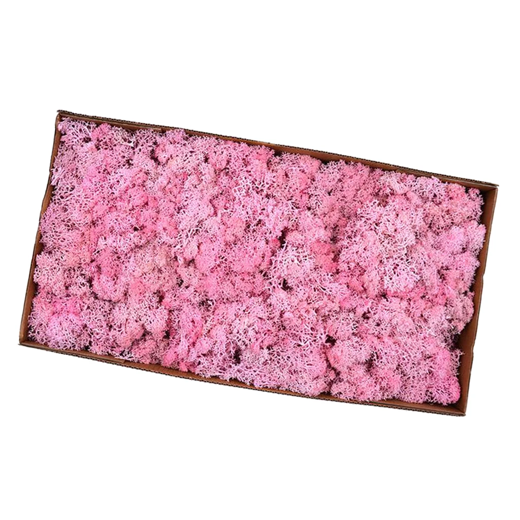 Colorful Artificial Moss Plant DIY Dried Reindeer Moss Floral Crafts Flowers for Plant Pot Garden Home Wedding Decor