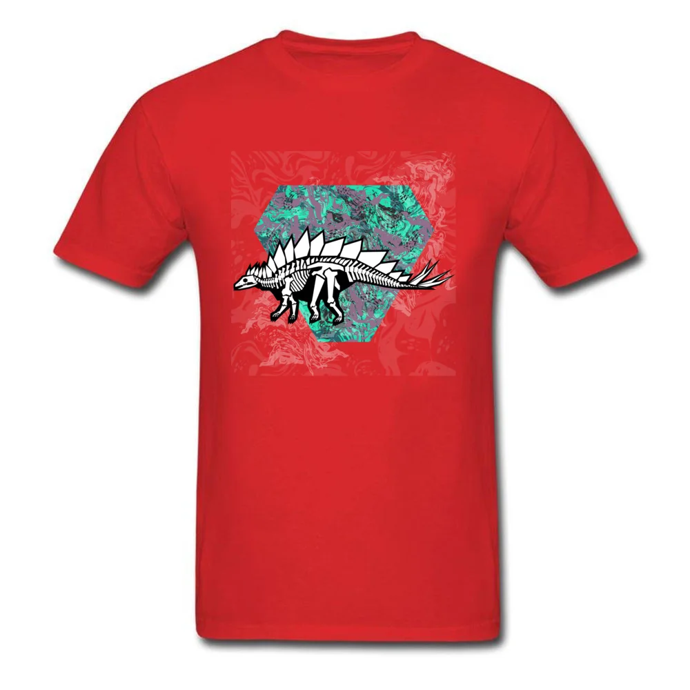 Stegosaurus Fossil_red