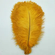 YY-tesco 10 шт./партия натуральные золотые страусиные перья для поделок 15-75 см карнавальные костюмы вечерние украшения для дома и свадьбы
