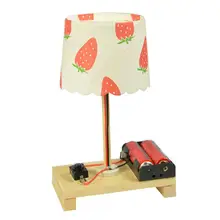 Small Desk Lamp Toys Children Science Experiments DIY Technology Small Making Invention Educational Toy (Random Pattern)