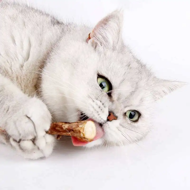 

5/15/25 Pcs Pure Natural Catnip Pet Cat Toy Molar Toothpaste Branch Cleaning Teeth Cat Snacks Sticks Pet Supplies