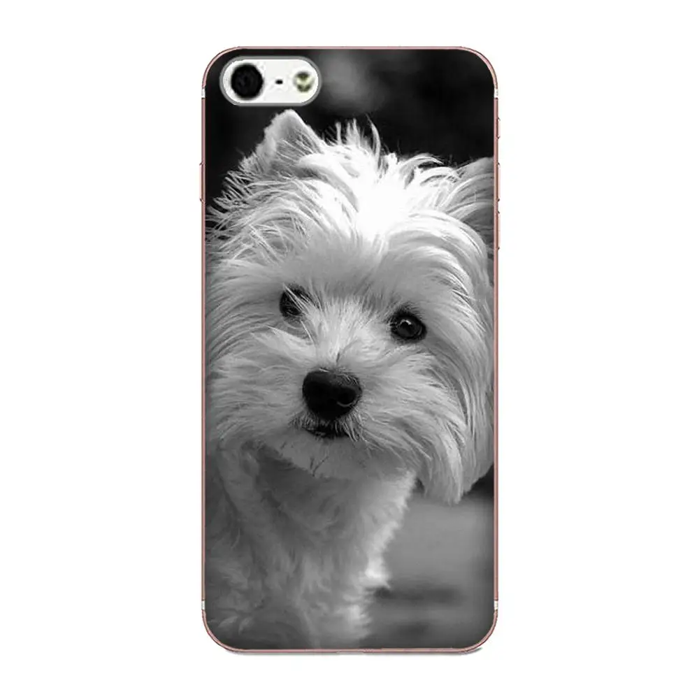 Телефон West Highland White Terrier Soft Quinn для LG Nexus 5 5X G2 G3 mini spirit G4 G5 G6 K4 K7 K8 K10 2017 V10 V20 V30