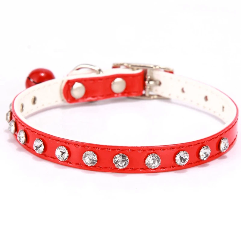 dog collar (3)