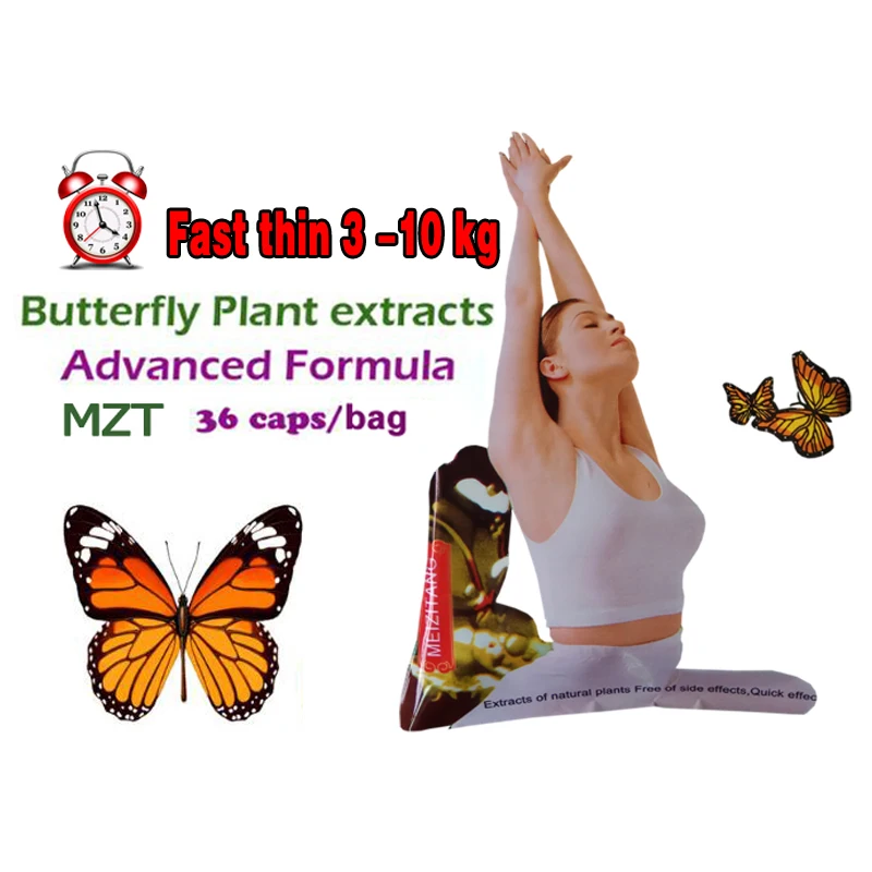 Baratos 100% avanzado eficaz adelgazando la fuerte mariposa planta salvaje extracto botánico quema grasa no daidaihua