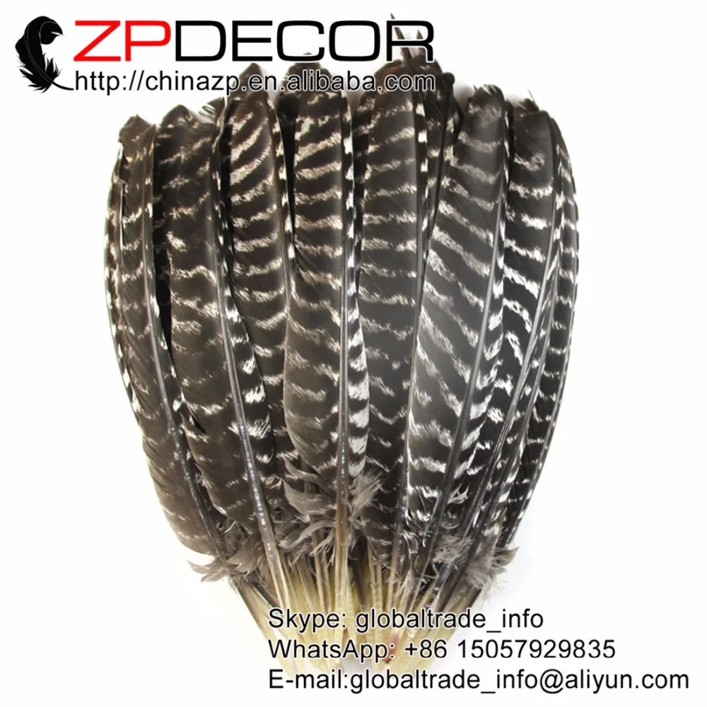 ZPDECOR 35 40cm(14 16inch) 100pieces/lot Wholesale Original Natural