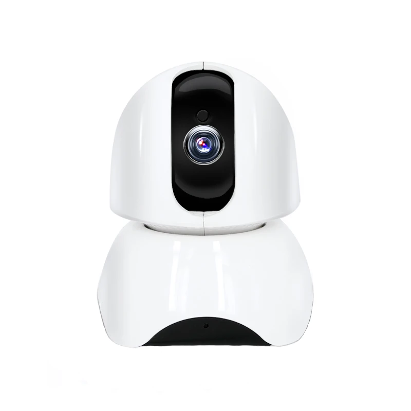 dvr and ip camera viewer