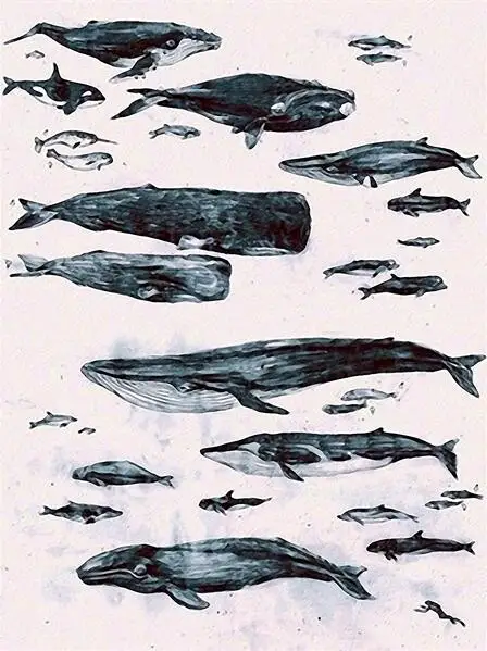 Nordic-Art-Poster-Art-Canvas-Art-Pictures-Painting-The-Whale-Biggest-Animal-But-Lovely-For-Home.jpg_640x640 (1)