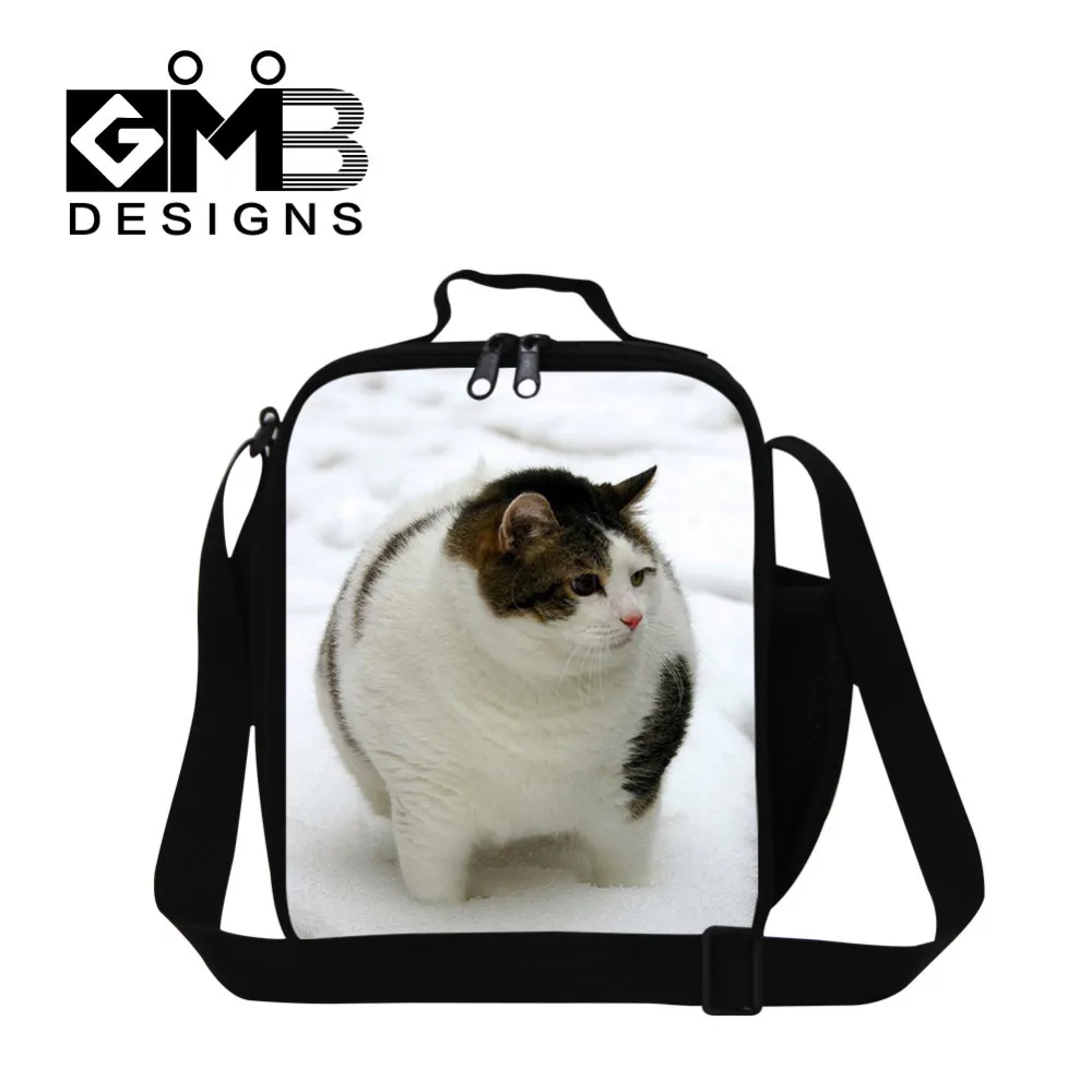 cat lunch boxes