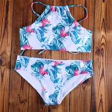 Подтолкнуть вверх бикини летом 2017 новые sexy beach плавание set Top & bottom купальники женщин майо де бейн femme плюс размер biquini