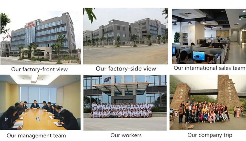 team and factory_.jpg