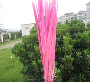 

sell 50pcs /lot Beautiful pink pheasant feather 40-45 cm /16-18 inch DIY handwork ornaments feather