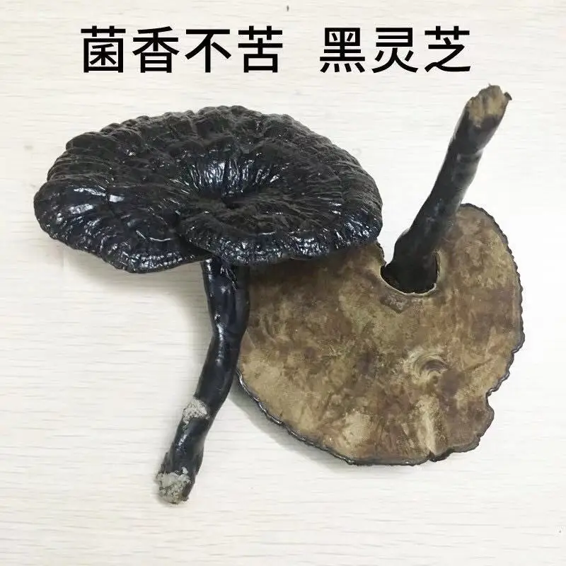 

500g/1000g Natural high quality Ganoderma Ganoderma lucidum Black Ganoderma free delivery