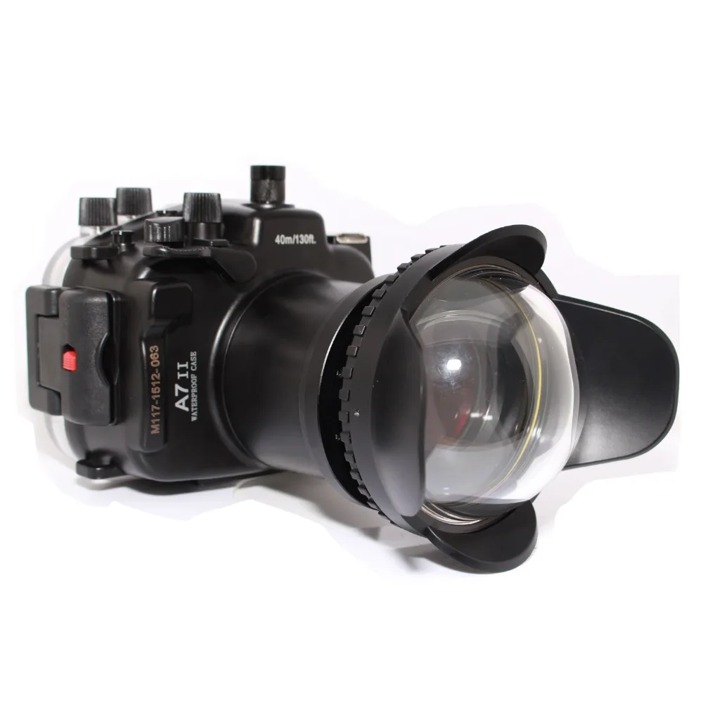 wei-biao-ti-555555