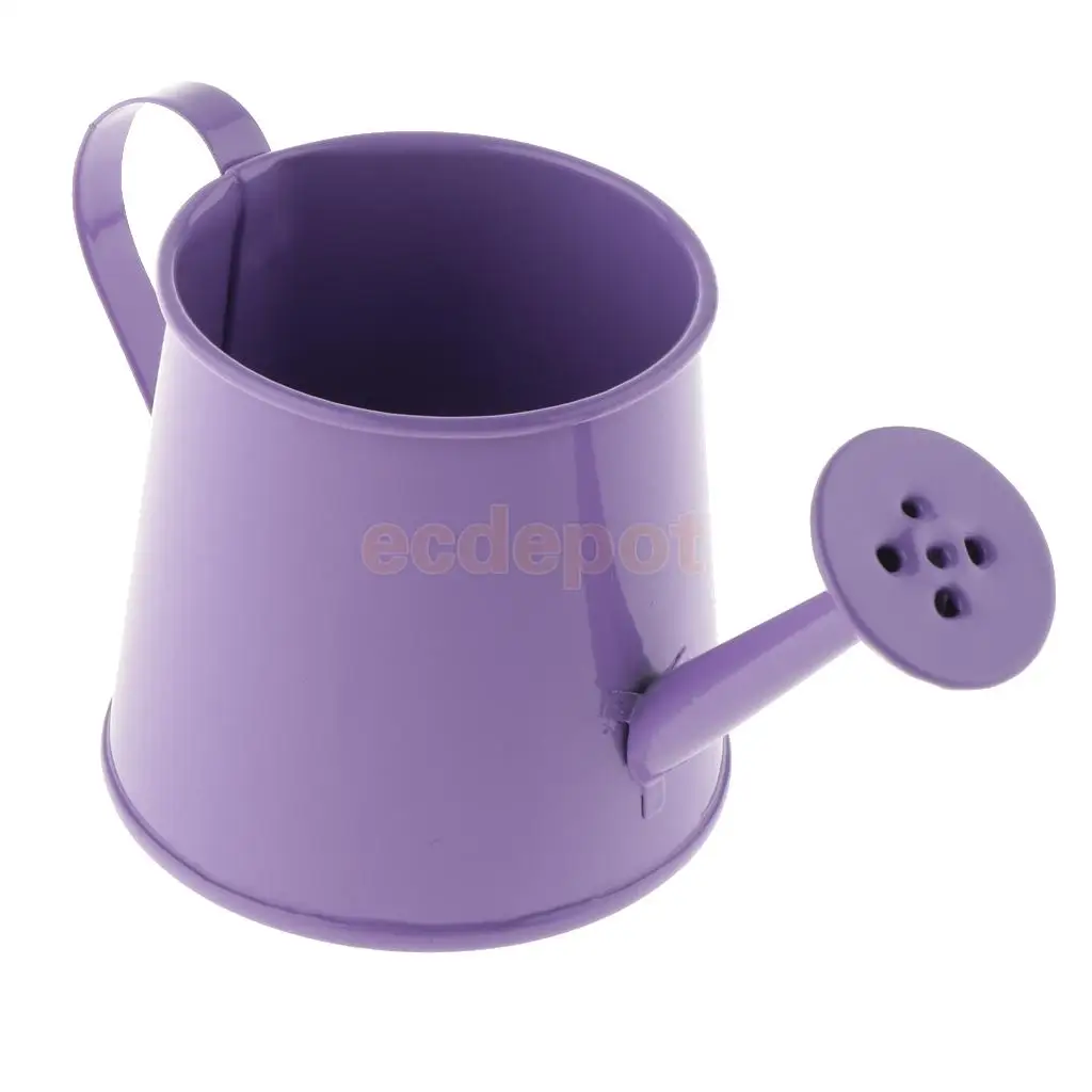 Rustic Vintage Iron Metal Watering Can Flower Bucket Vases Garden Balcony Home Office Decor