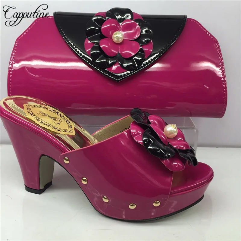 Fuchsia_
