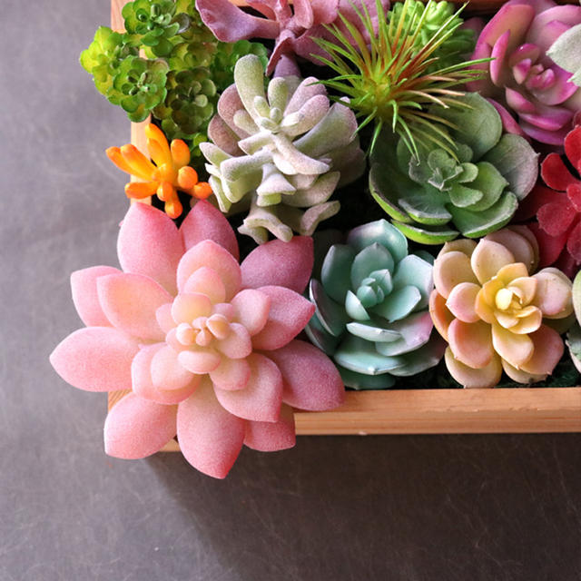 Artificial Succulent Plant