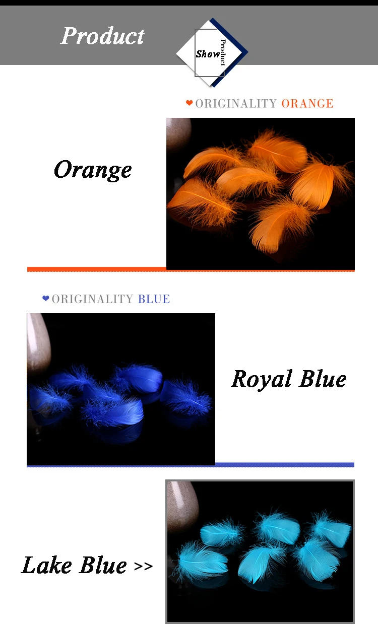 3253685687_1022353483