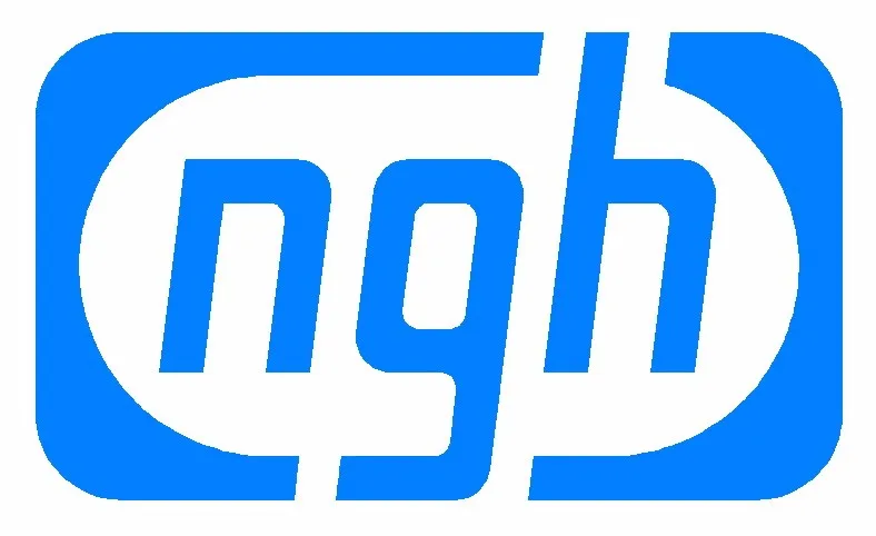 NGH оригинальных двигателей аксессуары NGH бензиновых двигателей кронштейн база NGH двигателей GT17 GT 25 GF30 GT35 GF38 крепление