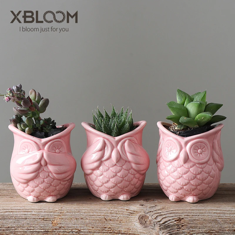 

3pcs/lot cartoon animal owl ceramic flower pot home gardening mini flower pot cartoon animal flower pot plant table potted vase
