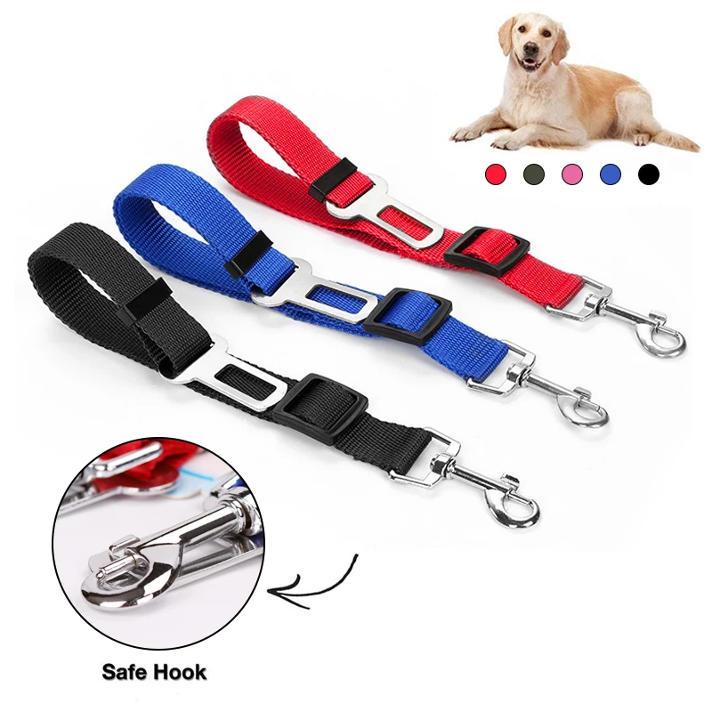 belt for puppy