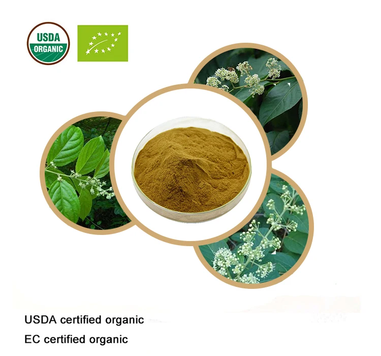 USDA и EC сертифицированный органический экстракт триптеригиума вильфорда 20:1 лозы
