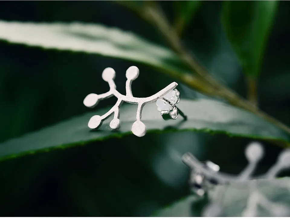 LFJA0045-Life-Branches-Leaves_12