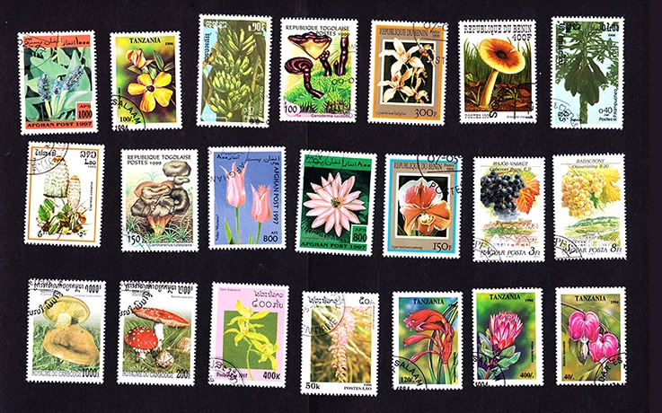 O1CN01IwSKwJ21ZaYLaKDpU_!!136196999