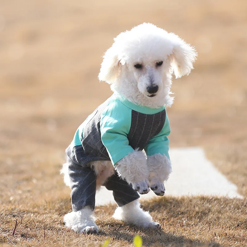 Dog Jumpsuit (8)