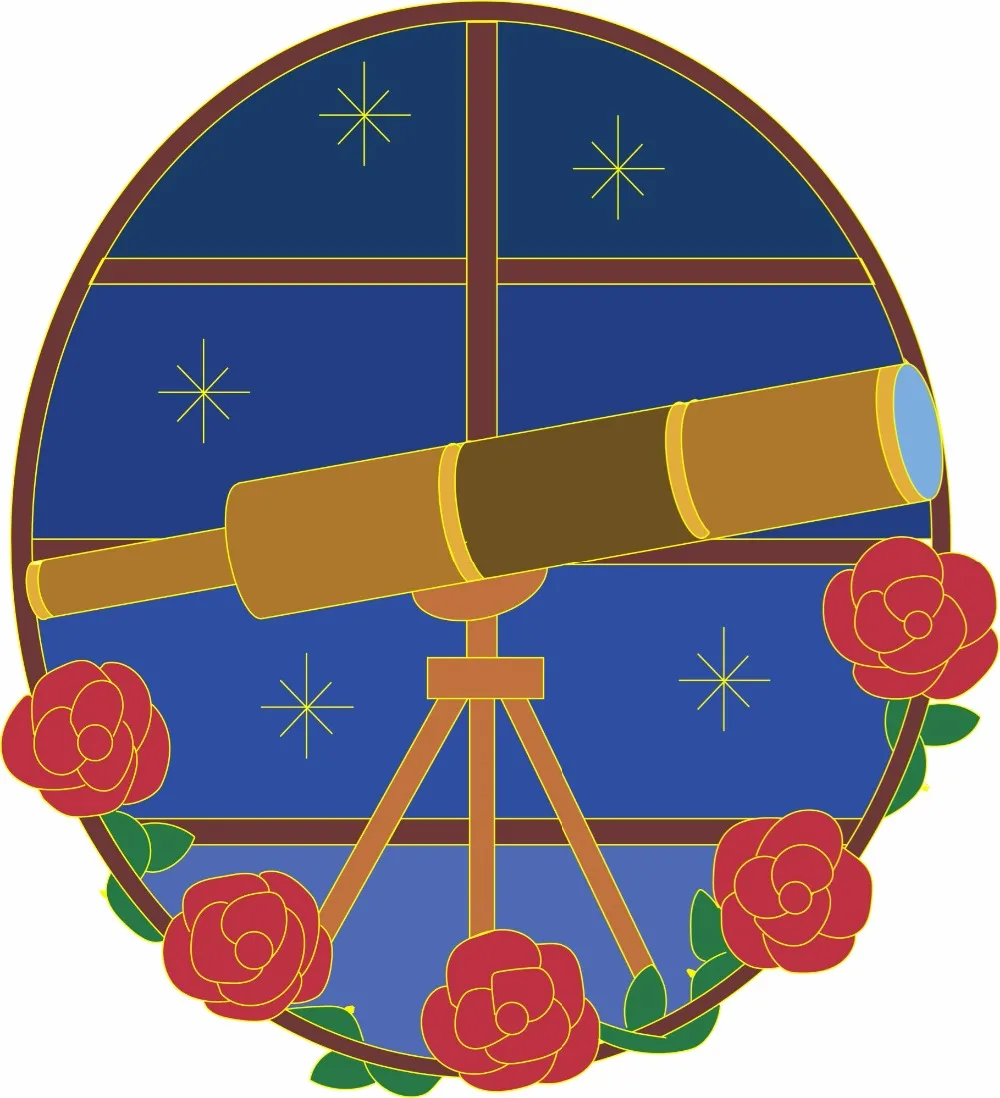 high quality and new type custom enamel pin with gold plating ship to