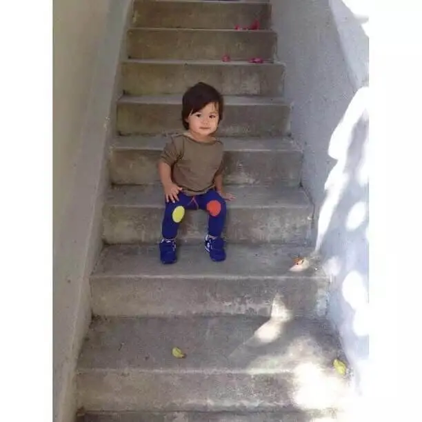 aeProduct.getSubject()