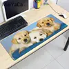 Computer Peripherals