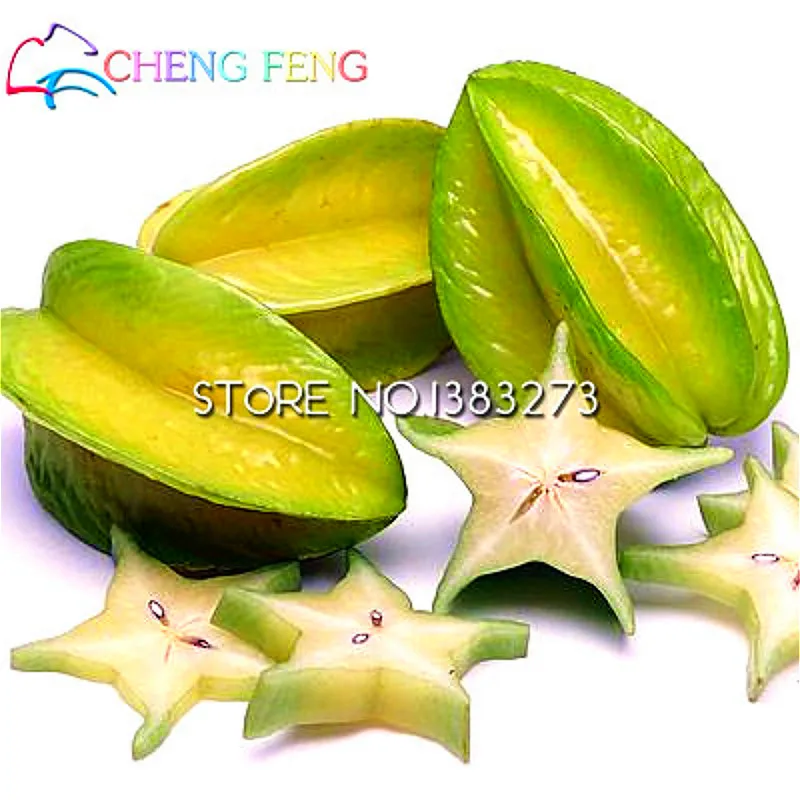 starfruit seeds barca fontanacountryinn com starfruit seeds