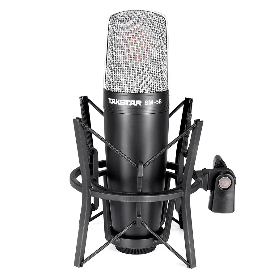 Takstar SM 5B L narration style professional recording condenser
