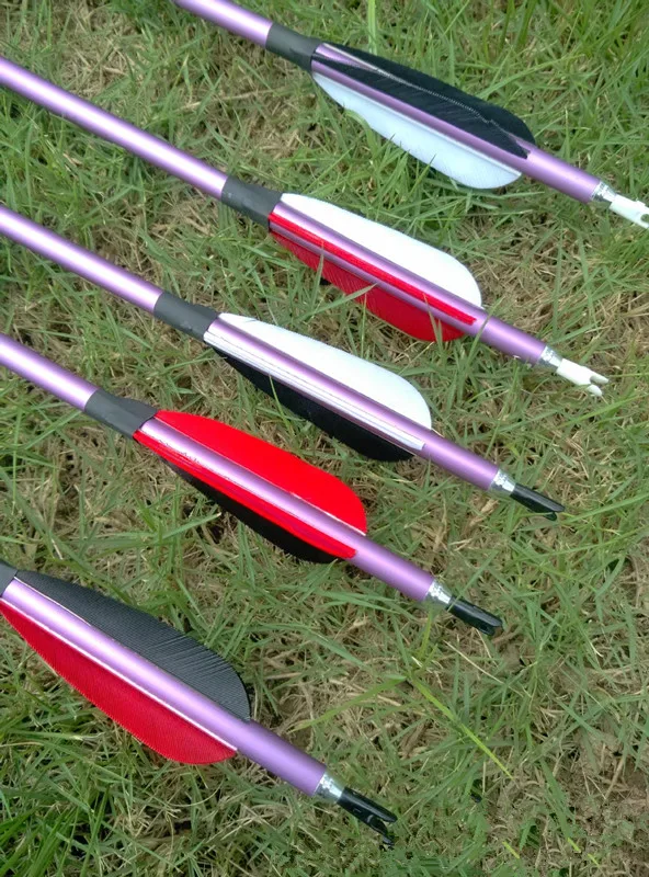 

New 6pcs 30 Inches Aluminum Arrow Spine 300 with Changable Point Red Arrows for Compound Bow or Long Bow Archery Hunting