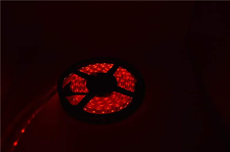 DSC_0499