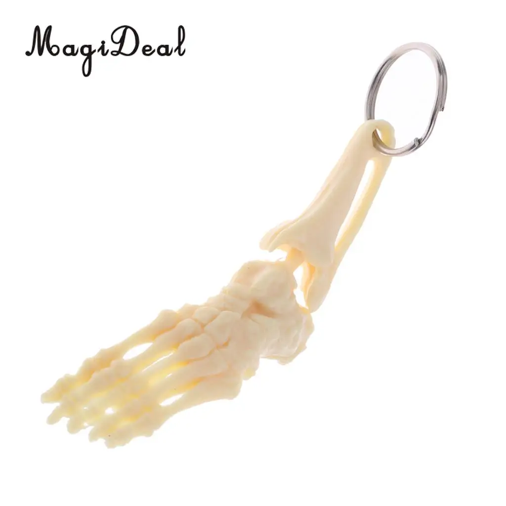 MagiDeal Human-skeleton Foot and Ankle Joint Model Key Chain Key Ring Children Kids Novelty Gift 12cm