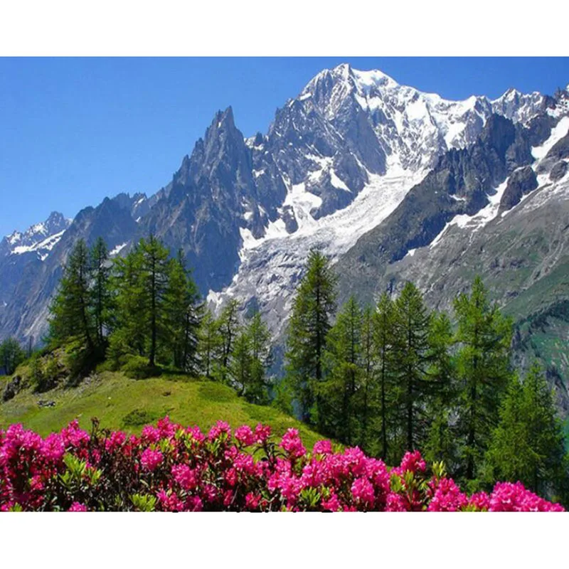 

DIY 5D Scenery Safflower round Diamond Painting Cross Stitch mosaic Snow Mountain Flowers square Embroidery Decor Pictures v724