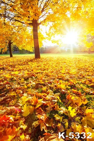 

Bright Studios Backgrounds Photography For Baby/Child/Wedding Portrait Shooting Vinyl Props Backdrops Newborn Autumn Backdrops