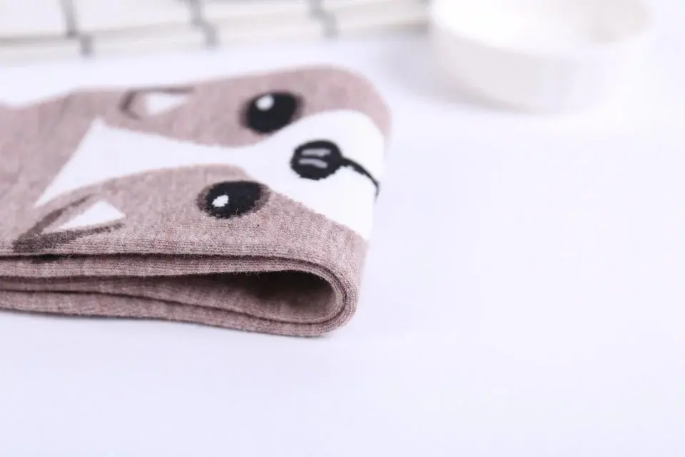 4523309075_297019652