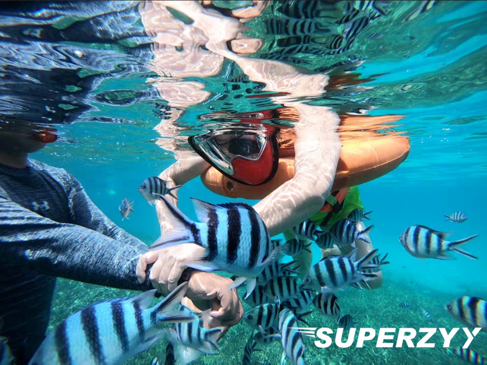 superzyy-1