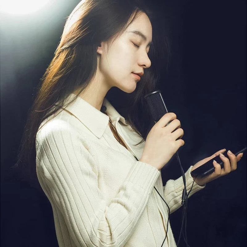 Xiaomi JUNLIN проводной цифровой микрофон с 3,5 мм аудио кабелем