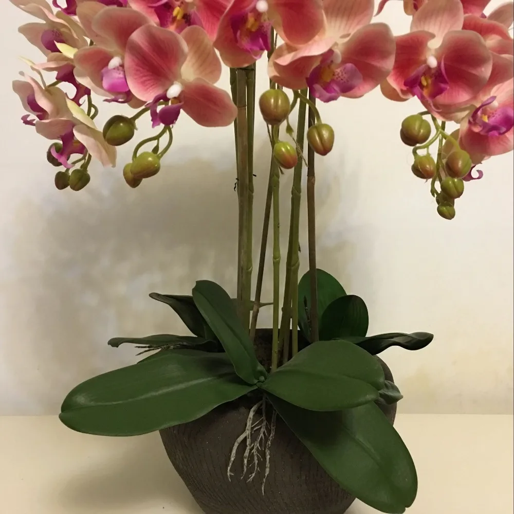 QQ20180120183739