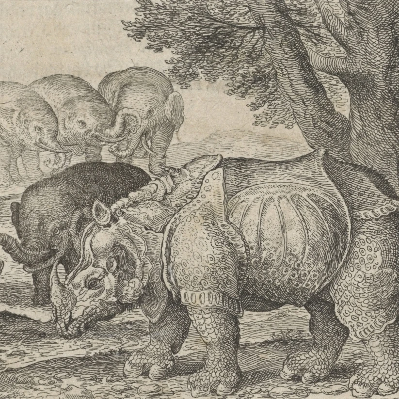 Fable Of The Rhinoceros And Elephants Poster Print (36 x 24)