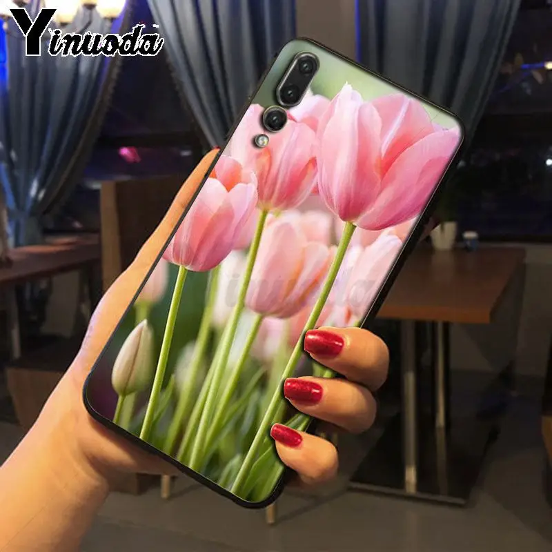 The tulip beautiful flowers