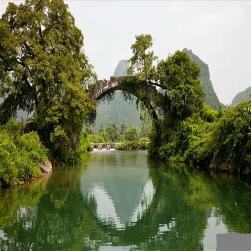 Пользовательские обои мост вода зеленый свежий 3d фон украшения стены-высококачественный водонепроницаемый материал