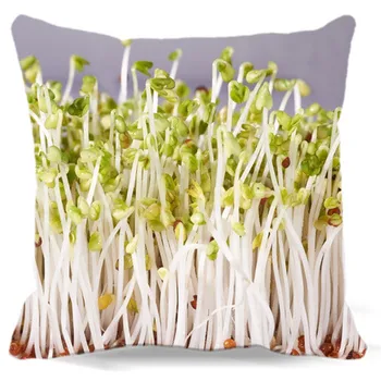 

Growing bean sprouts white gray plant Soft Square Pillows case Cotton polyester Home car sofa Decorative Cushion cover