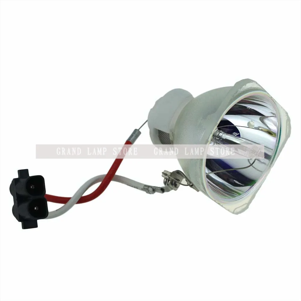 SP-LAMP-019-5