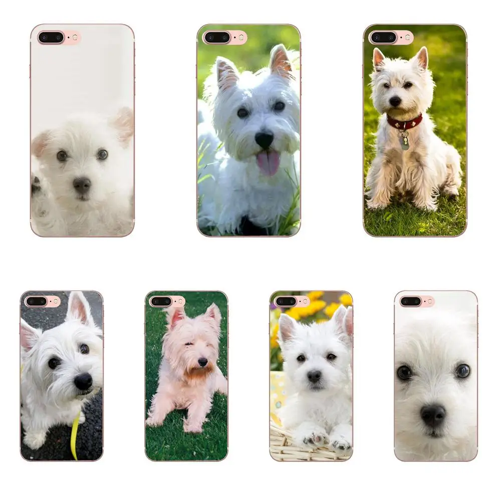Мягкие чехлы из ТПУ для Apple iPhone 4 4S 5 5C 5S SE 6 6S 7 8 Plus X XS Max XR West Highland White Terrier | Мобильные